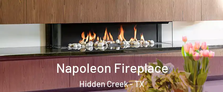 Napoleon Fireplace Hidden Creek - TX