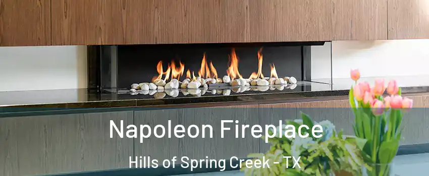 Napoleon Fireplace Hills of Spring Creek - TX