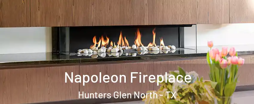 Napoleon Fireplace Hunters Glen North - TX
