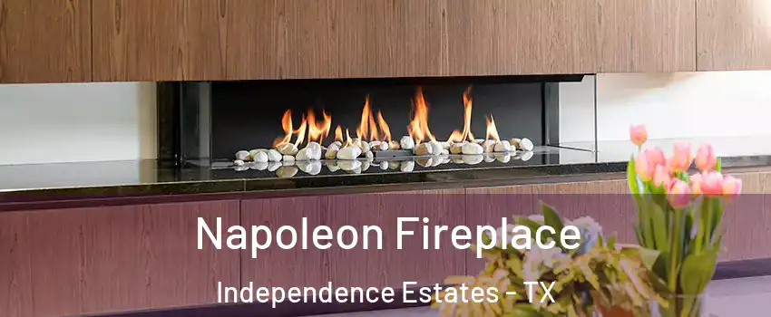 Napoleon Fireplace Independence Estates - TX