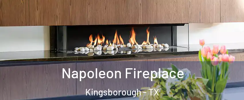 Napoleon Fireplace Kingsborough - TX