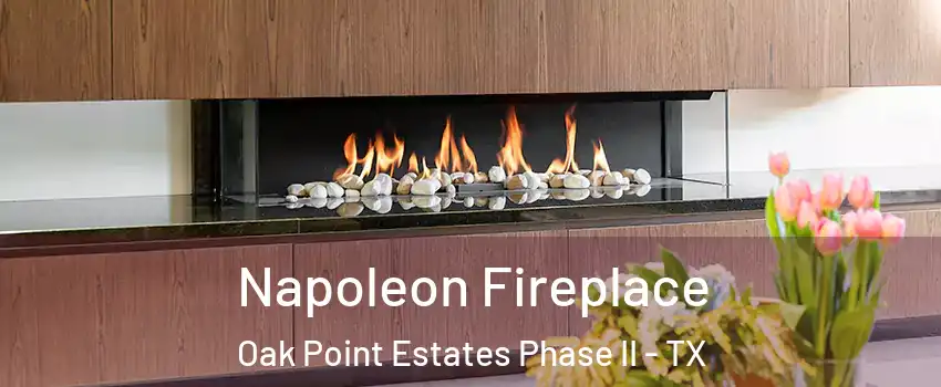 Napoleon Fireplace Oak Point Estates Phase II - TX