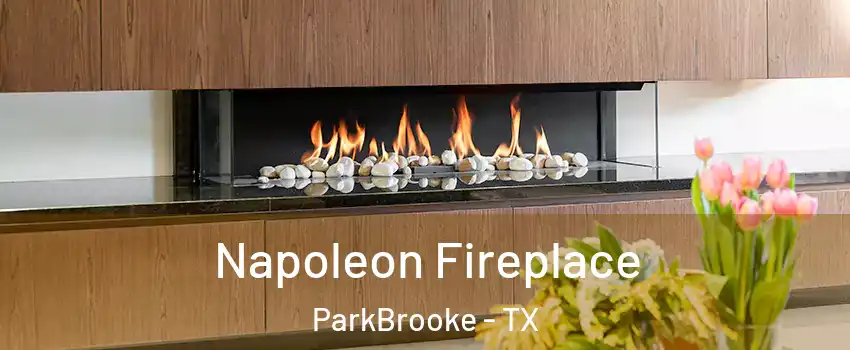 Napoleon Fireplace ParkBrooke - TX