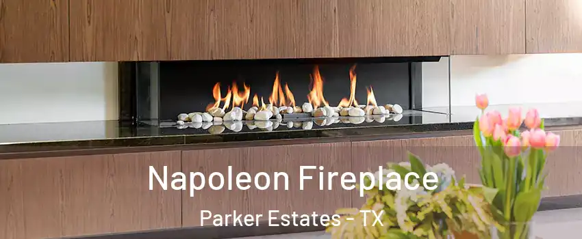 Napoleon Fireplace Parker Estates - TX