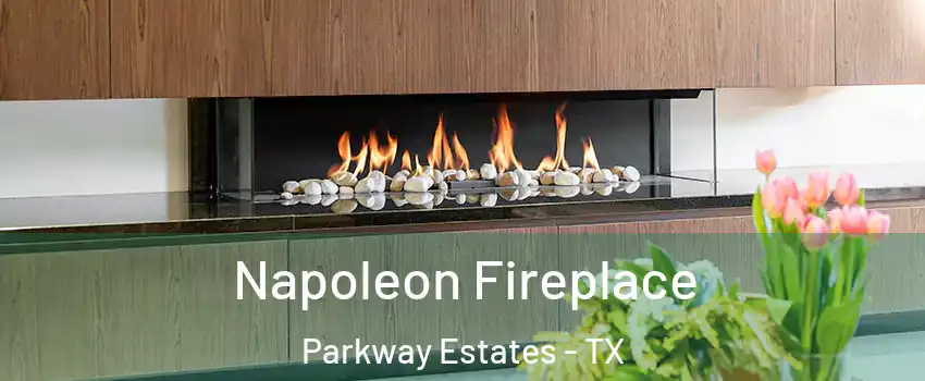 Napoleon Fireplace Parkway Estates - TX