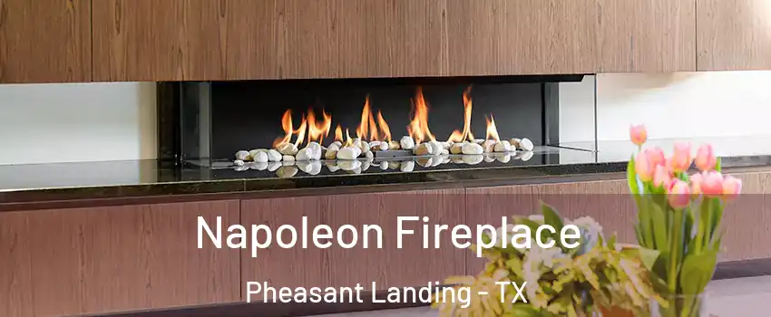 Napoleon Fireplace Pheasant Landing - TX
