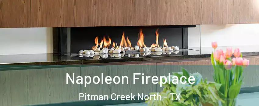 Napoleon Fireplace Pitman Creek North - TX