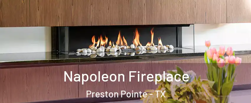 Napoleon Fireplace Preston Pointe - TX