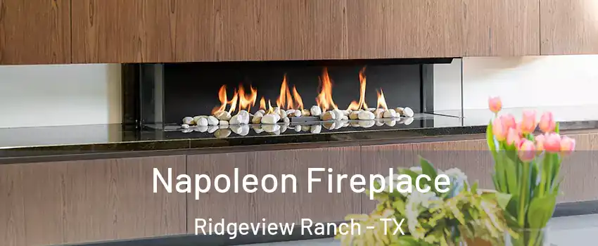 Napoleon Fireplace Ridgeview Ranch - TX
