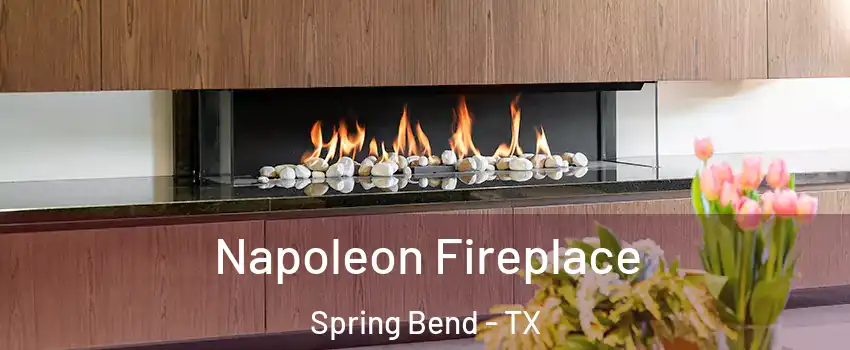 Napoleon Fireplace Spring Bend - TX