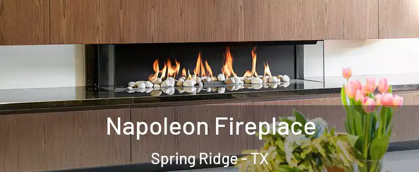 Napoleon Fireplace Spring Ridge - TX
