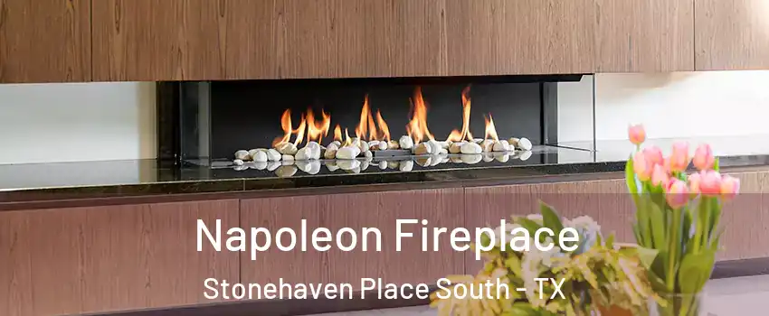 Napoleon Fireplace Stonehaven Place South - TX