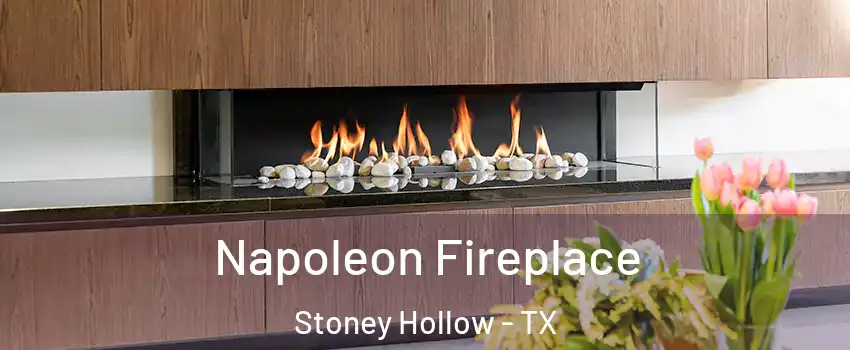 Napoleon Fireplace Stoney Hollow - TX