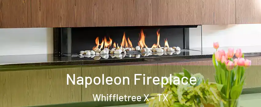 Napoleon Fireplace Whiffletree X - TX