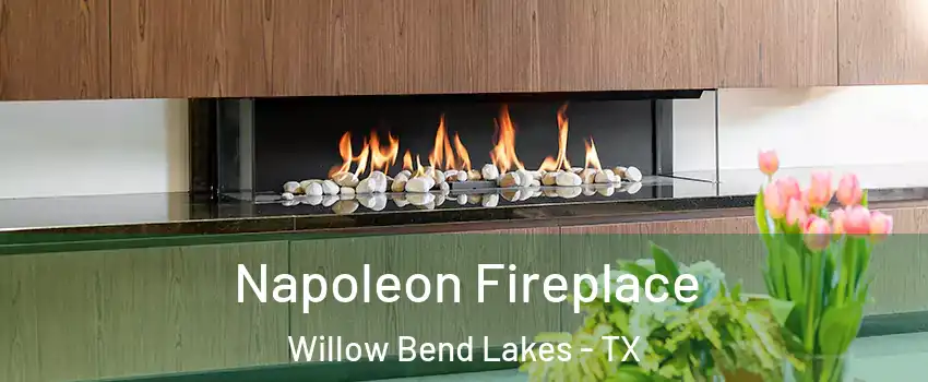 Napoleon Fireplace Willow Bend Lakes - TX