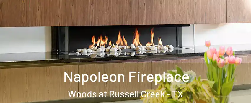 Napoleon Fireplace Woods at Russell Creek - TX