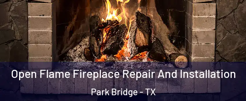 Open Flame Fireplace Repair And Installation Park Bridge - TX
