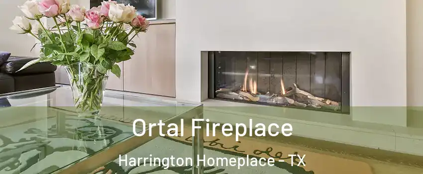 Ortal Fireplace Harrington Homeplace - TX