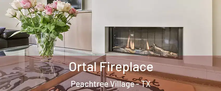 Ortal Fireplace Peachtree Village - TX