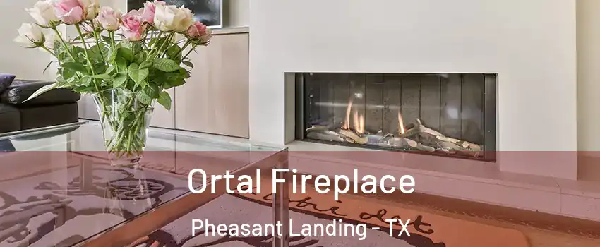 Ortal Fireplace Pheasant Landing - TX