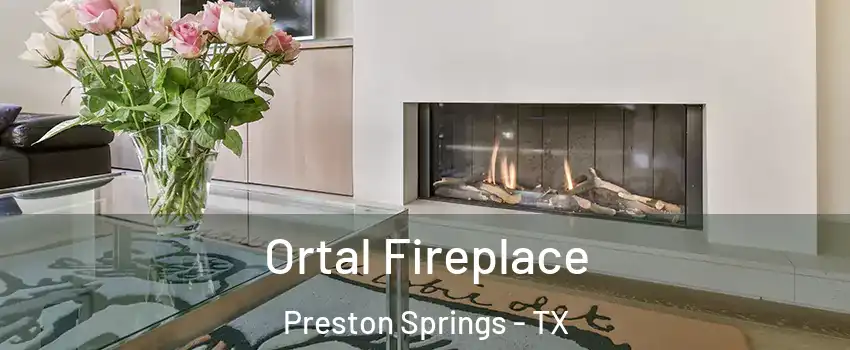 Ortal Fireplace Preston Springs - TX