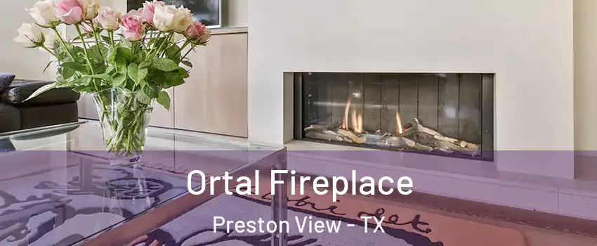 Ortal Fireplace Preston View - TX