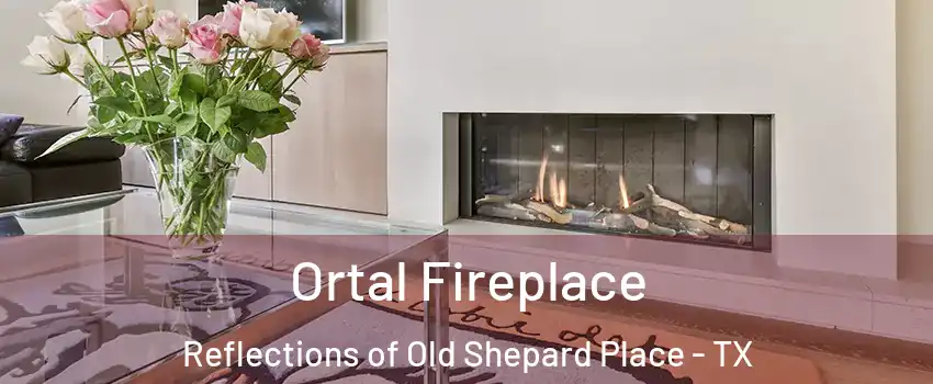 Ortal Fireplace Reflections of Old Shepard Place - TX