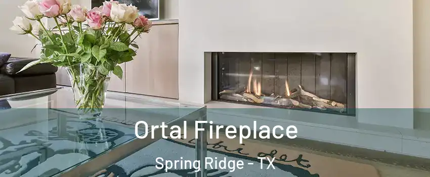 Ortal Fireplace Spring Ridge - TX