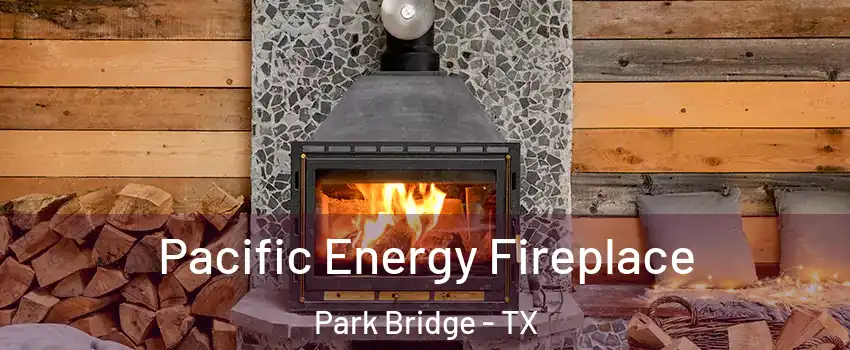 Pacific Energy Fireplace Park Bridge - TX