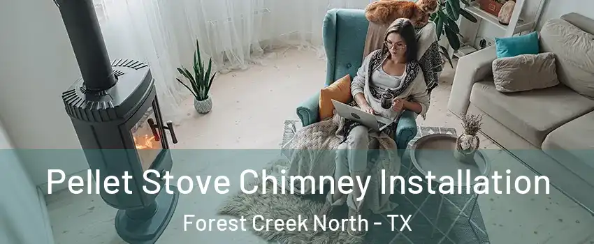 Pellet Stove Chimney Installation Forest Creek North - TX