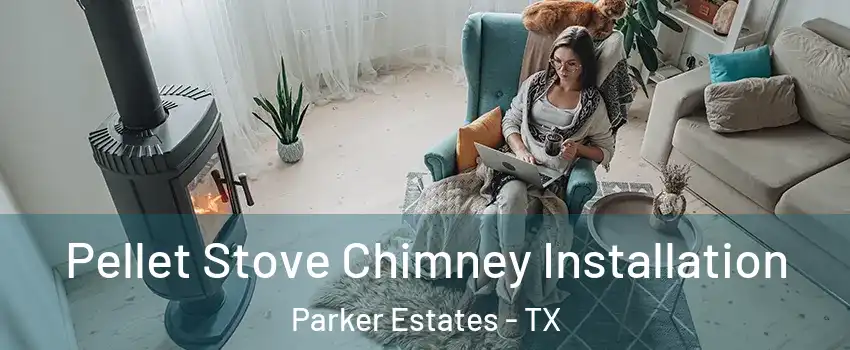 Pellet Stove Chimney Installation Parker Estates - TX