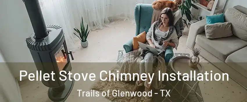 Pellet Stove Chimney Installation Trails of Glenwood - TX