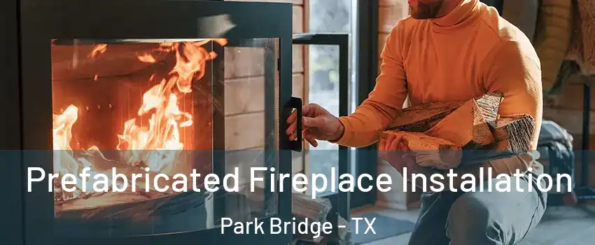 Prefabricated Fireplace Installation Park Bridge - TX