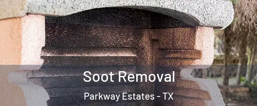 Soot Removal Parkway Estates - TX