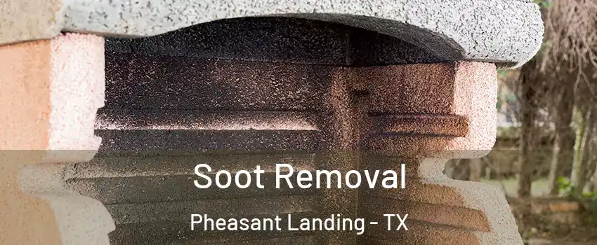 Soot Removal Pheasant Landing - TX