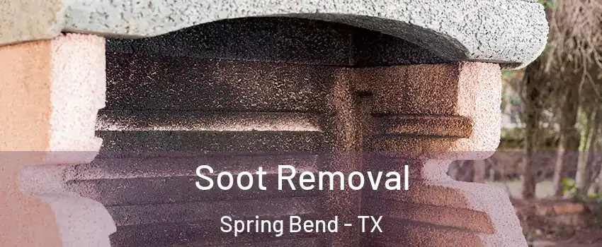 Soot Removal Spring Bend - TX