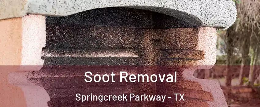 Soot Removal Springcreek Parkway - TX