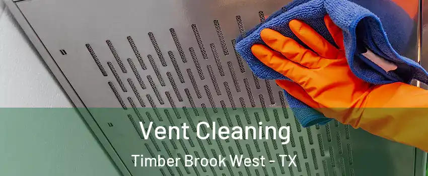 Vent Cleaning Timber Brook West - TX