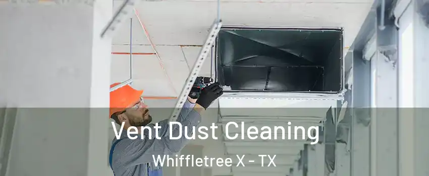 Vent Dust Cleaning Whiffletree X - TX