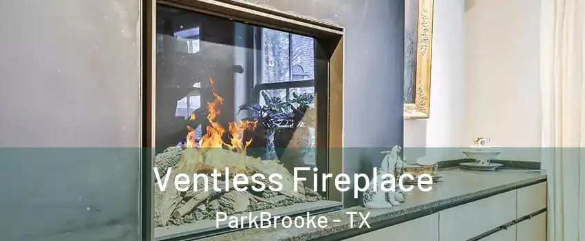 Ventless Fireplace ParkBrooke - TX