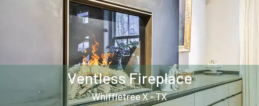 Ventless Fireplace Whiffletree X - TX
