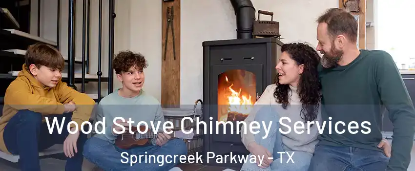 Wood Stove Chimney Services Springcreek Parkway - TX