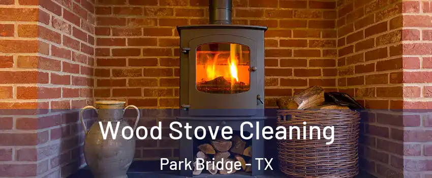 Wood Stove Cleaning Park Bridge - TX
